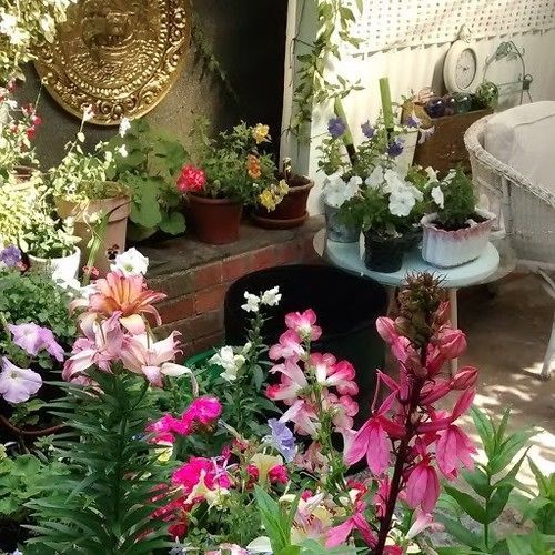 The Terrace Bed & Breakfast Iffley Bagian luar foto