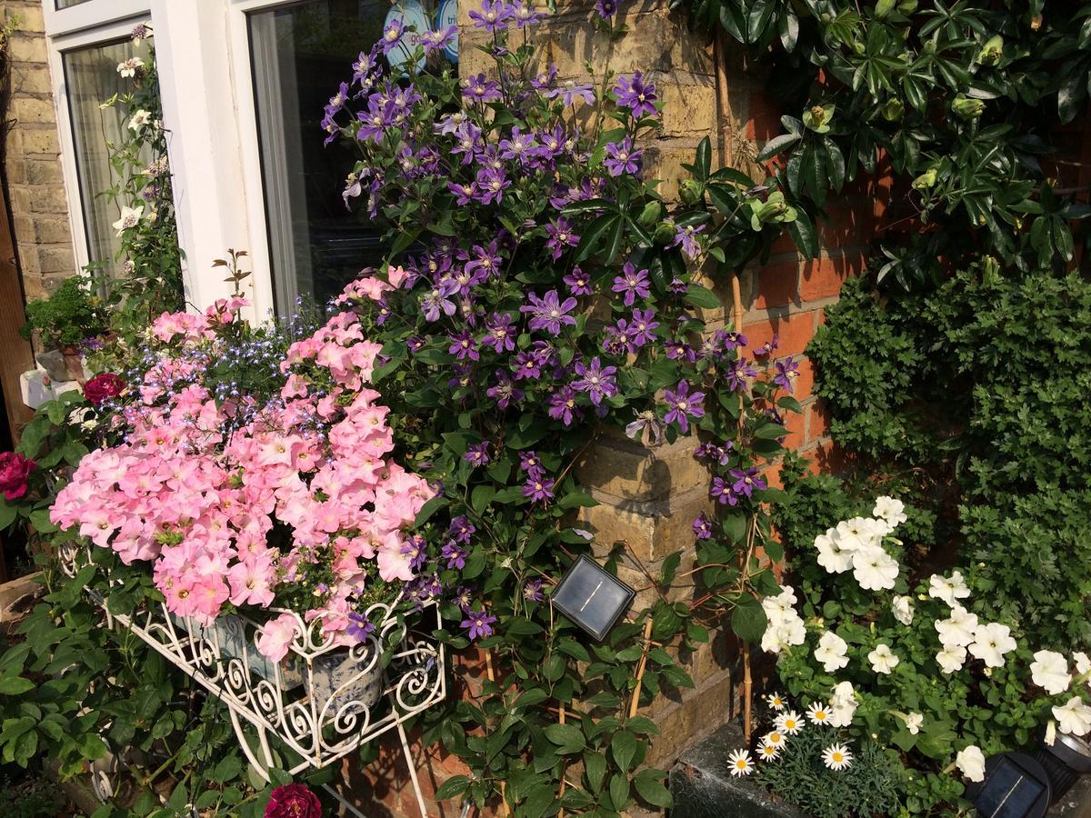 The Terrace Bed & Breakfast Iffley Bagian luar foto